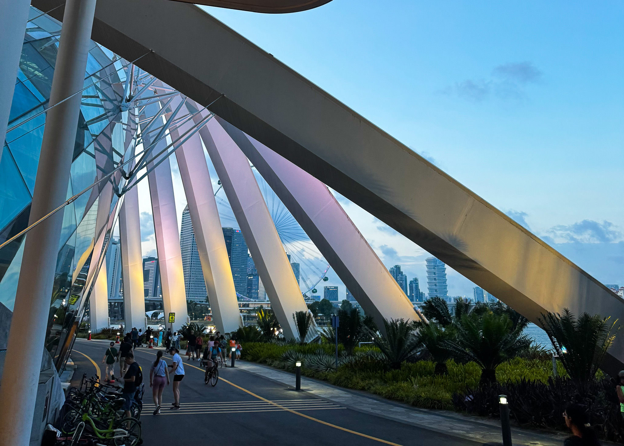 Gardens by the bay Singapore City view