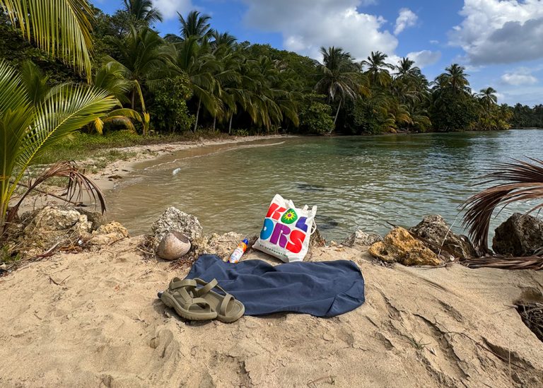 shoes, towel tote bag sunscreen on sandy beach with palm trees