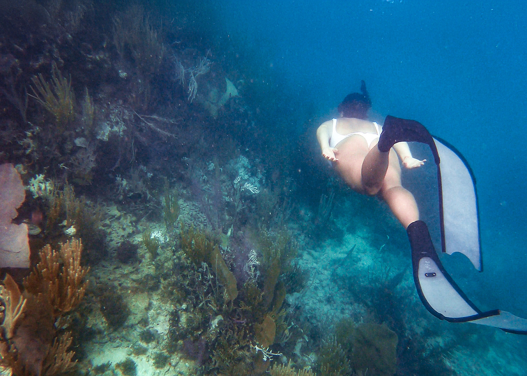 woman snorkeling swimming with long fins underwater beside colorful coral reef
